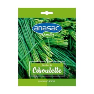 Semilla Ciboulette 1 Gr
