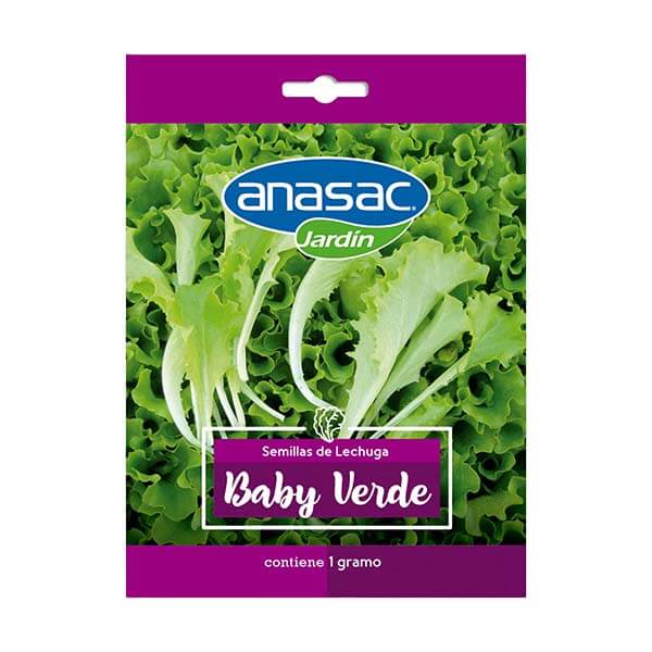 Semilla Lechuga Baby Leaf verde 1 Gr
