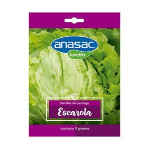 Semilla Lechuga Escarola 5 Gr